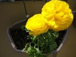 0501-3.jpg