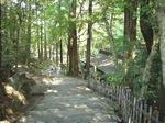 0904-6.JPG