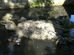 0904-9.JPG