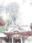 1015-8.JPG