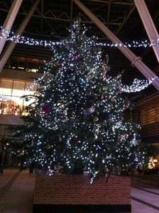 111219-7.JPG