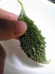 Image403.jpg