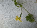 Image489.jpg