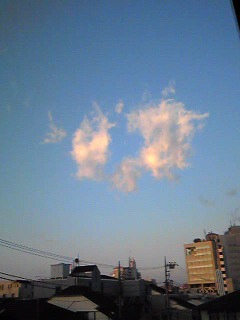 Image6951.jpg